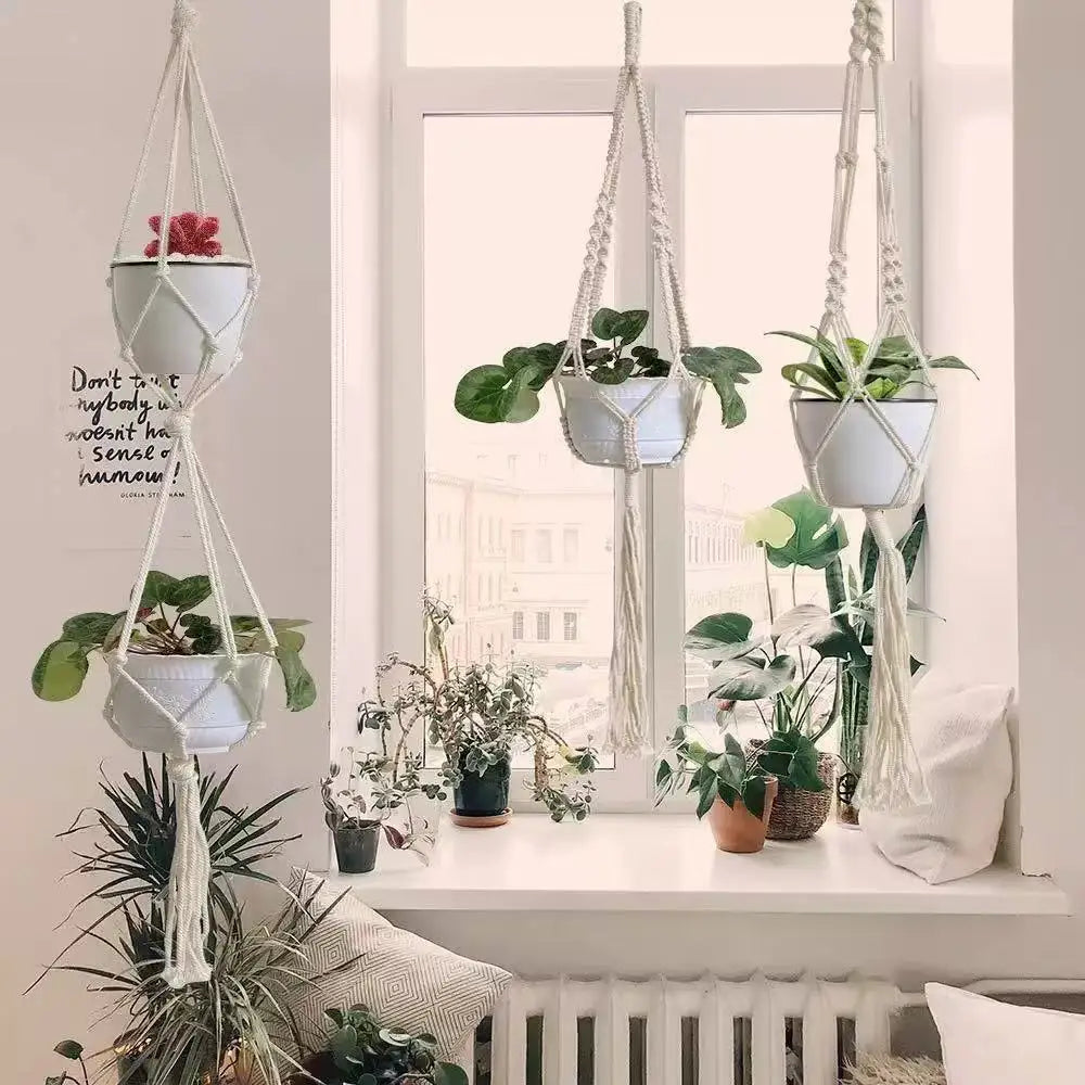 Sky Garden Hanging Plant Holders
