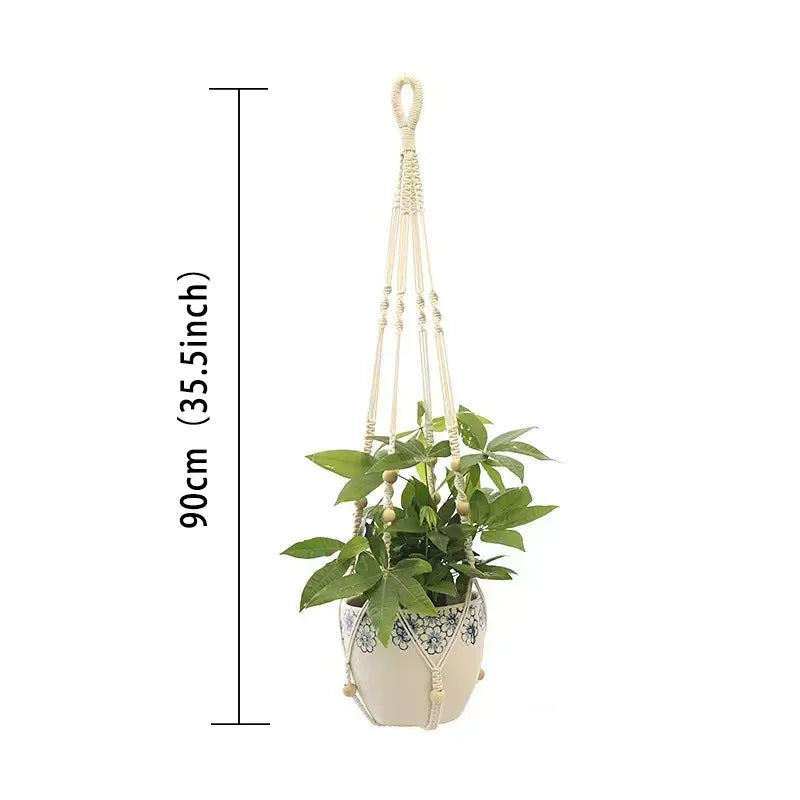Sky Garden Hanging Plant Holders