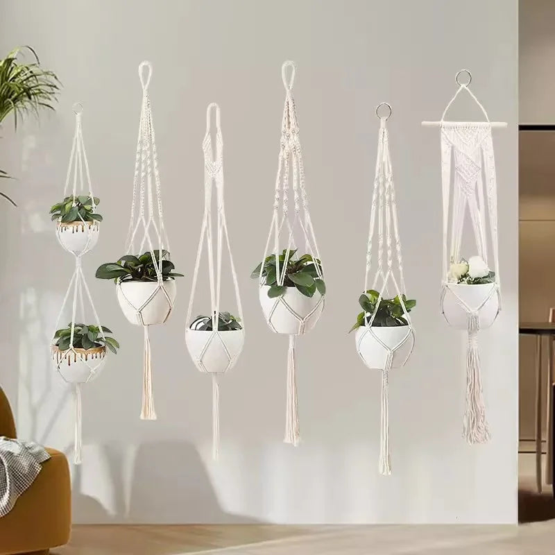 Sky Garden Hanging Plant Holders