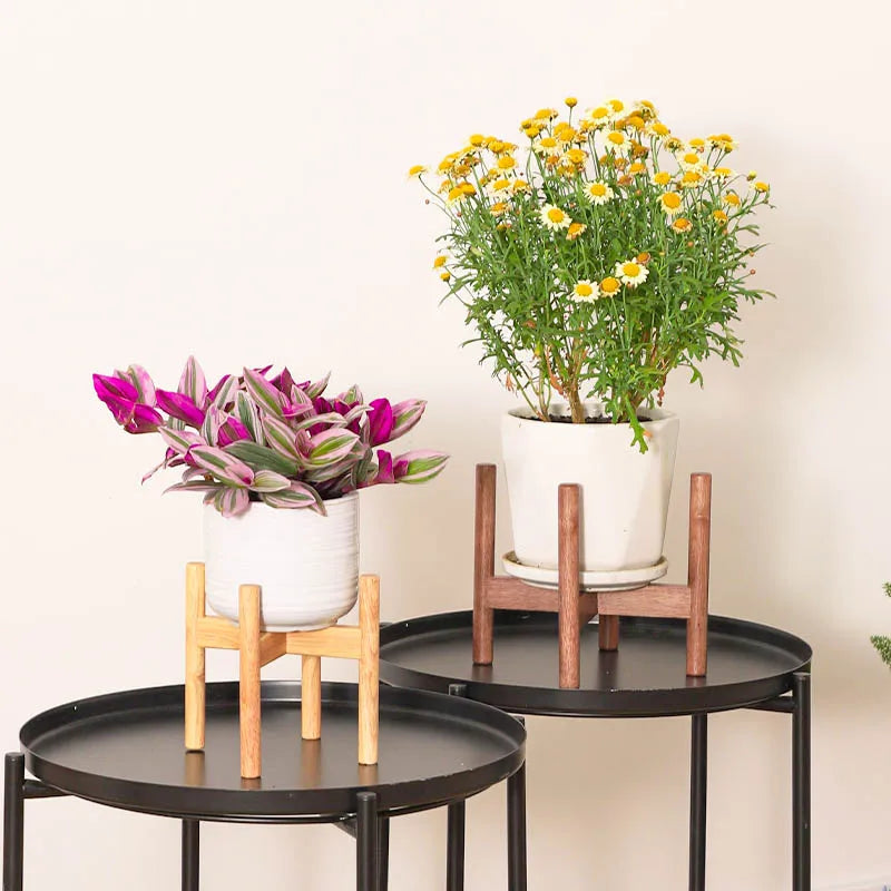 The Scandi-Lift Plant Stand Set
