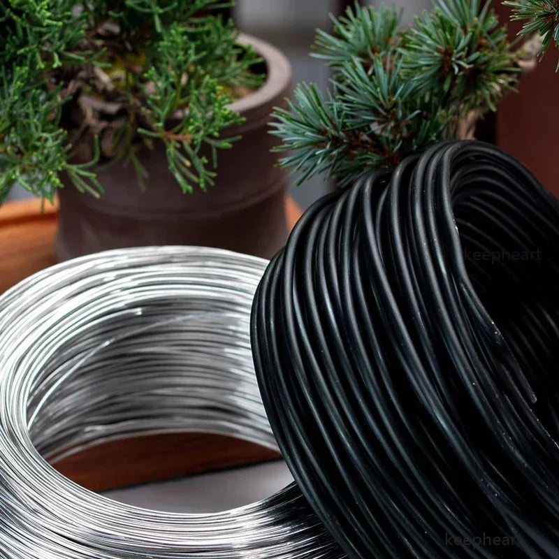 The 'Bonsai Master Training Wire Set