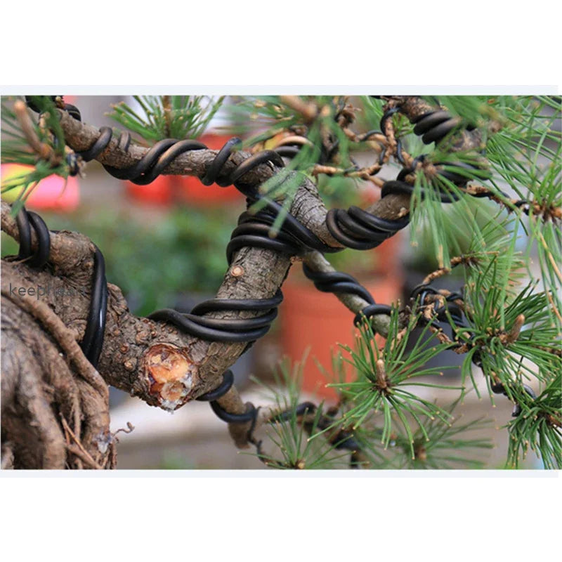 The 'Bonsai Master Training Wire Set