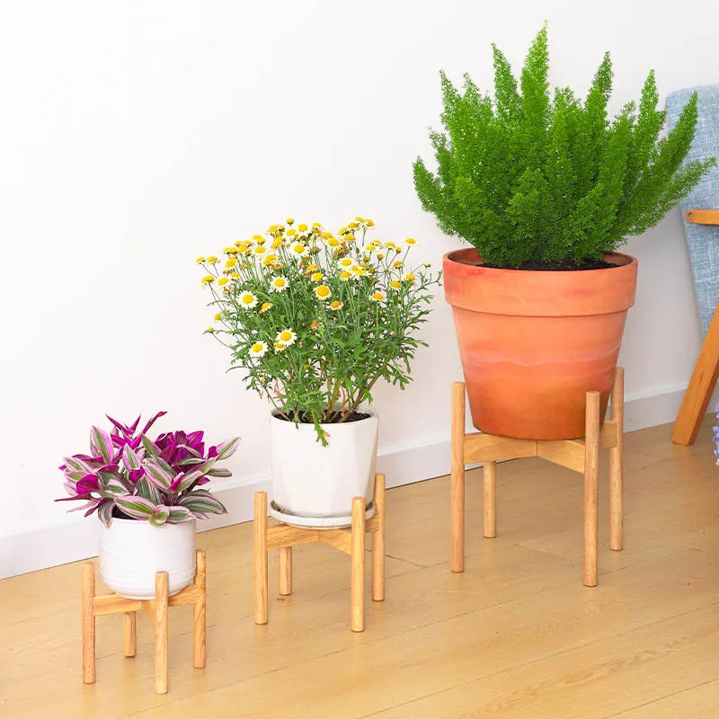 The Scandi-Lift Plant Stand Set